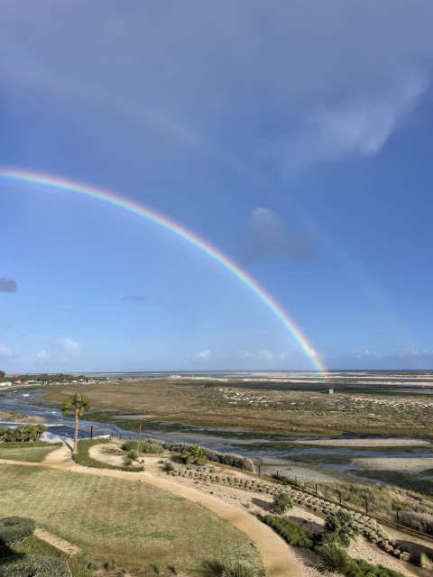 A vibrant rainbow arching across a blue sky over a coastal landscape with a grassy foreground, pathways, a single palm tree, and a wetland leading to the sea in the distance.