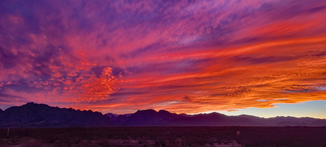 A multi-colored sunset above the rugged Chiricahua Mountains. A blend of clouds from blue and purple to streaming pink and gold hover above a brushy desert landscape. 