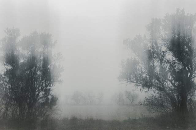 Fotografía de un paisaje con niebla y árboles con efectos en la foto fruto de un Movimiento Intencionado de Cámara (ICM).

Foggy landscape with trees and ICM effect.