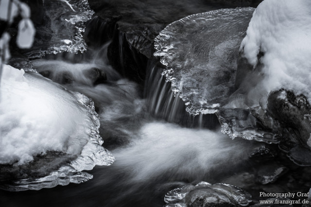 This image captures a serene, small waterfall cascading gently into a river, set against a backdrop that whispers the essence of winter. The landscape is enveloped in snow, creating a harmonious blend with nature's quietude. The black and white tonality of the photograph enhances the timeless beauty of this winter scene, emphasizing the contrasting textures of the flowing water and the snowy banks. Amidst this tranquil setting, a mammal, possibly searching for food or simply crossing the water, adds a dynamic element to the composition. The outdoor scene, devoid of human presence, invites contemplation and appreciation for the monochromatic beauty of the natural world, showcasing the waterfall as a focal point amidst the encompassing calm of a winter's day.