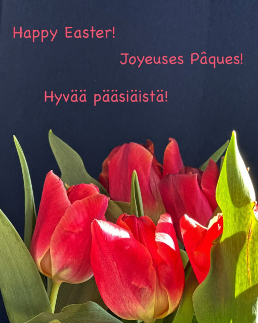 Tulips &amp; text: Hyvää pääsiäistä! Happy Easter! Joyeuses Pâques!