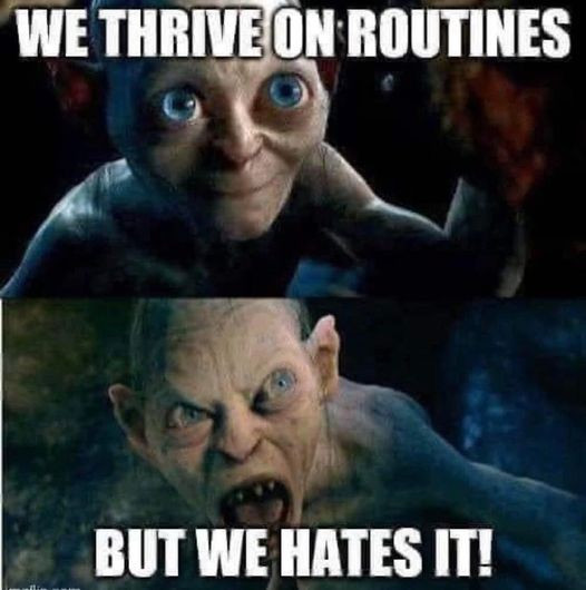 Two pictures of Gollum from Lord of the Rings are shown. The top picture shows Gollum smiling with a caption that reads, “We thrive on routines.” A picture below shows Gollum angry with a caption that reads, “But we hates it!”.