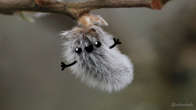 A close up photo of a grey fluffy catkin hanging from a branch. It has a very happy face and upturned arms drawn on.