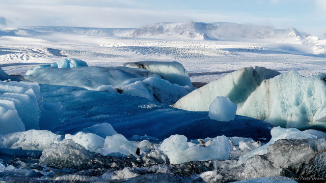 A photo of an ice field. In the foreground are floating icebergs of assorted shades of blue and different shapes. No two are the same. Some have dark stripes where volcanic ash has deposited layers across the surface and been encased by subsequent icing. Some are ridged where layers have melted at different speeds. In the background is an undulating field of ice, flowing down from mountain peaks which form the horizon line. The ice is deeply ridged and crevassed. The sky above is slightly misty but blue, and the low sunlight is from the left.
