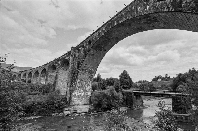 The image shows a black and white photo of a bridge over a river. The bridge is a viaduct, which means it is a series of arches that support a long bridge. The bridge is made of stone and has a humped back. There are trees and bushes growing on either side of the bridge. The river is wide and flows quickly under the bridge.

The bridge is the Vorokhta Viaduct, which is located in Vorokhta, Ukraine. It is the longest stone arch bridge in Europe. The bridge was built in 1895 and is 100 meters high and 300 meters long.