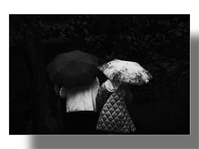 A couple with umbrellas walking among the trees.