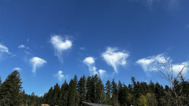 Small clouds with virga over a forested hill.
