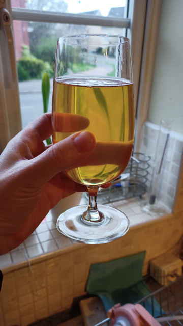 A glass of crystal clear beer, held up to the light so you can see how clear it is.
