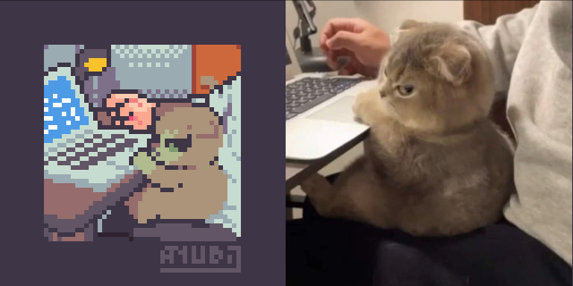 A pixel art redraw (and image) of a kitty with an angry expression, sitting on the lap of a human in front of a laptop. The kitty is giving an angry side-eye to the viewer. In the redrawn version, the laptop has a Blue Screen of Death. Not too fond of technology.