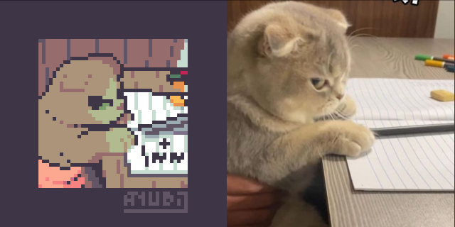A pixel art redraw (and image) of a kitty with an angry expression, sitting in front of a table that has a notebook with a ruler, eraser and some pens while being held by a human. In the redrawn version, there's a math question of 2 + 2 in the notebook. Homework is hard, human!