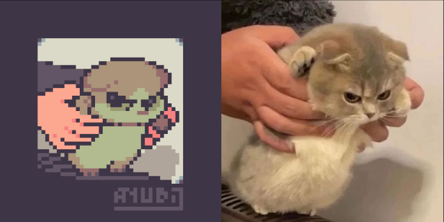 A pixel art redraw (and image) of a kitty with an angry expression, standing on their 2 legs while having their front paws being held by a human off-screen. The kitty is giving an angry side-eye to the left side. Let me go at this instant, human!