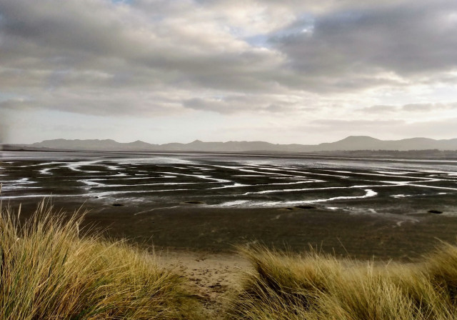 Ebbtide pools in round swirls in the dark brown sand. Some dune grass in the front and the other side of the bay with the hilly shores in the background. A moody sky above.