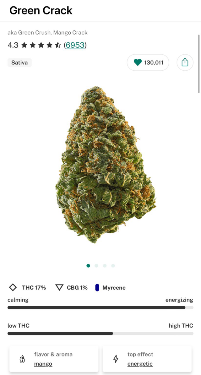 Image of Green Crack, a cannabis strain, and information about its effects. 