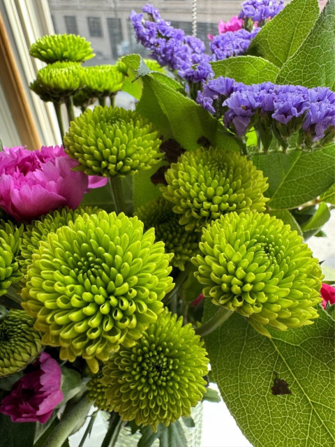 A close-up of a vibrant bouquet featuring green chrysanthemums, pink peonies, and purple flowers by a window with a view of a building.
