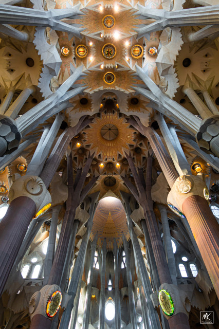 Vertical color photo panorama looking up at the apse and ceiling of the Sagrada Familia in Barcelona.
