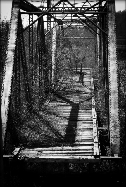 An old unused train bridge covered in vegetation and tree branches, with dark shadows from the afternoon sun is seen in this moody black and white photo.