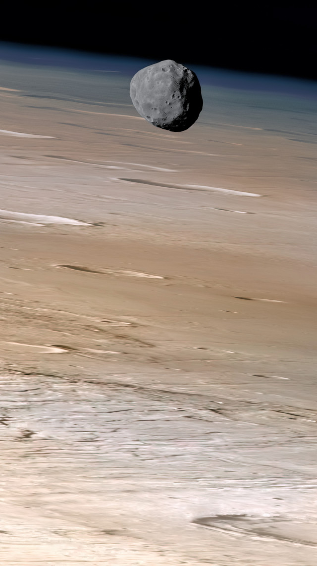 An image taken from orbit shows the potato-shaped satellite Phobos orbiting above Mars. The perspective shows Phobos very close to the Martian limb. Phobos appears predominantly grey, while the surface of Mars displays tones ranging from rusty red to the bluish hue of its external atmosphere layer. Craters on Mars are larger than those on Phobos.