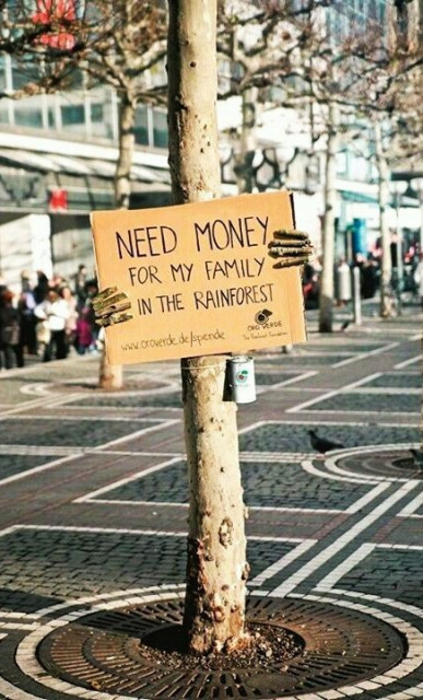 Foto van boompje in winkelstraat met een kartonnen bord in handen (takken) met tekst: Need Money for my family in the rainforest.