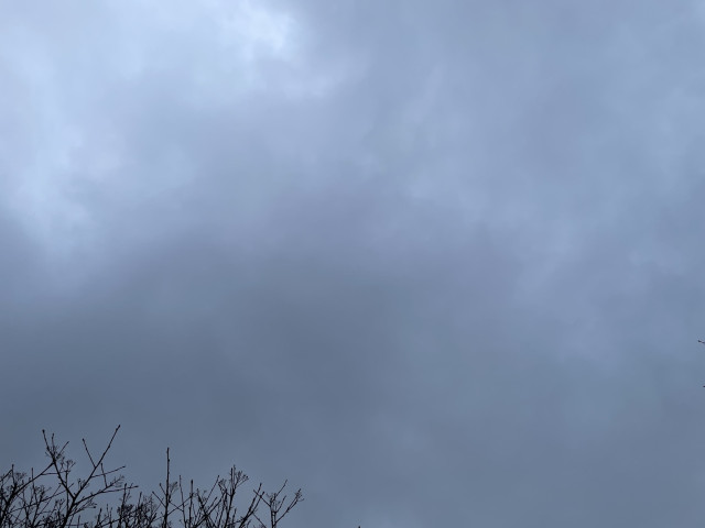 Photo of sky with gray clouds with a few leafless branches visible on the lower left.