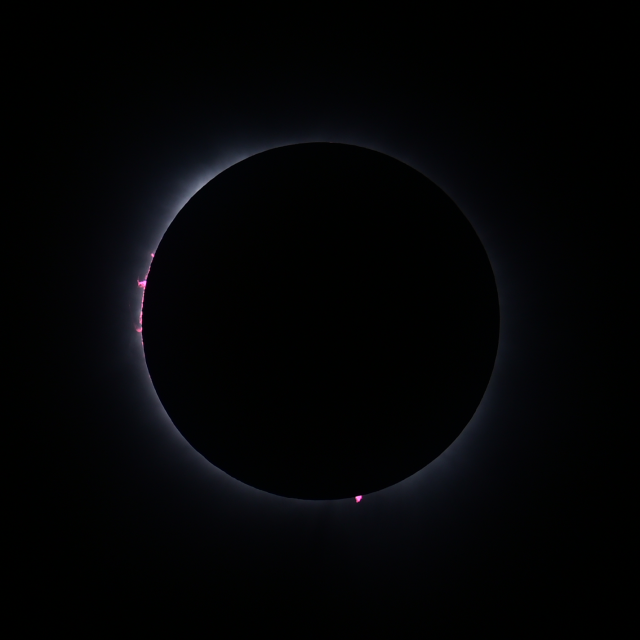 Black background with very faintly visible white ring of the Sun. Red and pink eruptions off of the solar surface are visible to the left and bottom of the black disk of the Moon, now obscuring the solar surface.