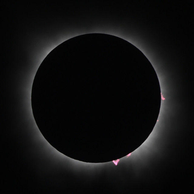 image of eclipsed Sun with a thin ring of coronal light around it, and bright red prominences at the right side and lower edge.