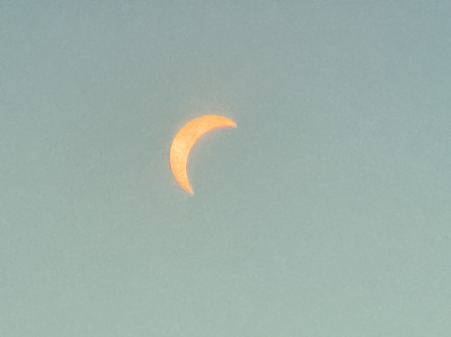 Solar eclipse under way, minor experimenting with lens selection from iPhone 15 Pro Max. Held an ISO 12302-12 eclipse glasses lens in front of the camera.