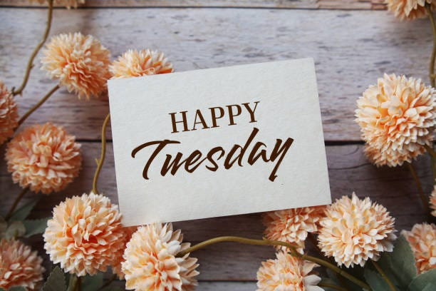 An image that has a paper note card with the words happy Tuesday written on it. There are some peach colored flowers laying all around the card and all of this is on a wooden table of some sort.