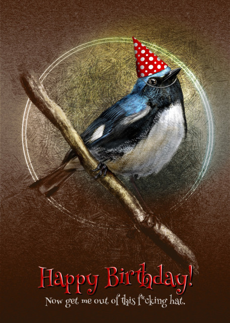 Illustration of a bird wearing a red party hat with white polka dots, perched on a branch against a brown background, with text saying "Happy Birthday! Now get me out of this f*cking hat."