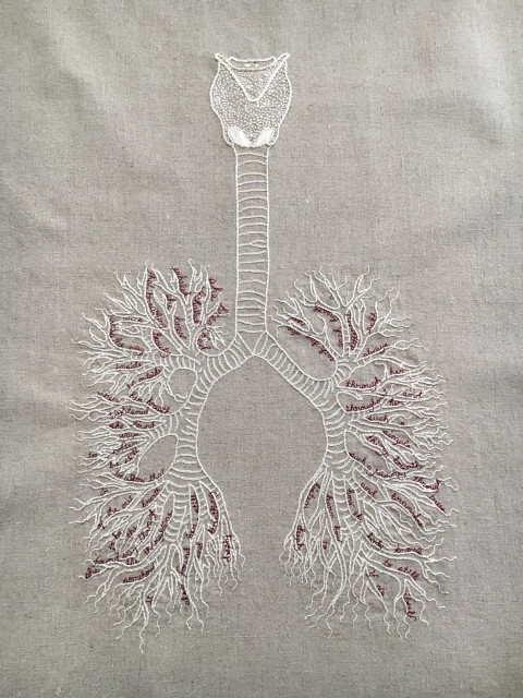 she breathed (2018)

An embroidery on a pale natural linen. There is a bone white diagram of a vocal apparatus, trachea, and bronchi/lungs. In between the branches of the bronchioles are small words embroidered in cursive in thin burgundy thread. They read: she breathed. Inhaled. exhaled. she knew. that breathing. was beauty. was the way. inside. to outside. when her breath. tightened. she found. ways. to soften. be still. to allow that. in. of the out. breath. to be. the. way through. she found the throughline. somehow. it. also found her. still. and   breathing. deeply. each day was. new. each breath. a. different. path. always. through her. and. throughout her. such a. simple. thing, breath. such a journey. through. trees. and. branches. how the body knows. to still. itself. if we learn how. to. listen deeply.