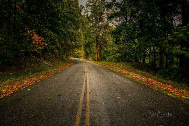 A serene, winding road flanked by dense trees with leaves turning autumnal hues, scattered on the damp asphalt, under an overcast sky. Image at:  https://beautifulsunphotography.com/featured/blue-ridge-parkway-drive-deb-beausoleil.html See more art & blog at: https://beautifulsunphotography.com/ https://debbeausoleil.com