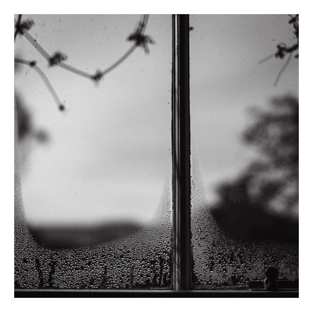 Black and white photo of a window with condensation on the glass, and a blurred view of trees and sky in the background.