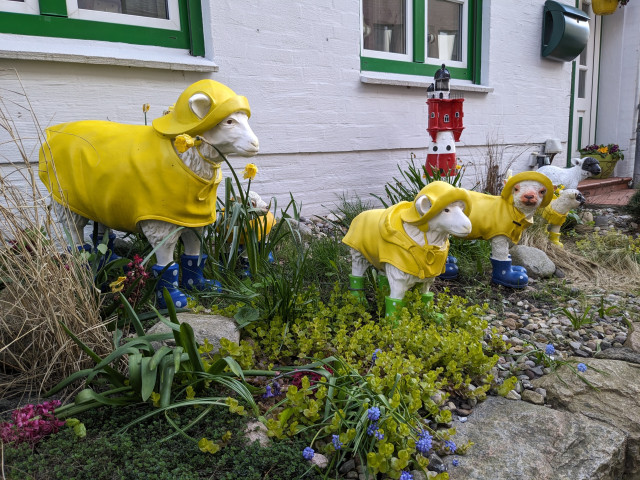 Vorgartendekoration mit 4 Schafen im "Friesennerz" (gelber Gummiregenmantel) und Gummistiefeln, sowie einem Leuchtturm.
