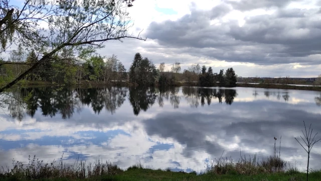 Himmel, Wolken und Bäume spiegeln sich in einem See