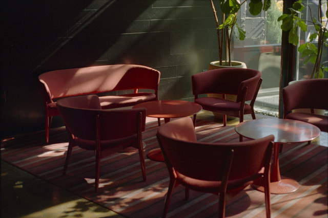 Red chairs surrounding red tables illuminated by morning sunlight, with green window plants casting shadows all over.