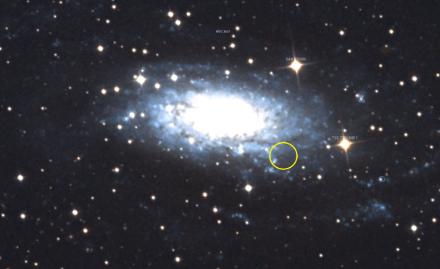high quality image of a galaxy showing its bright core region and swirling spiral arms, amongst a dense stellar field. A yellow circle is drawn on an outer region of the galaxy.