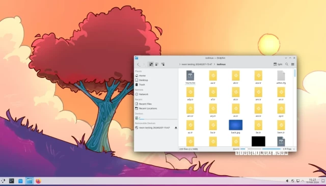 Screenshot of the KDE Plasma 6 desktop environment showing the Dolphin file manager.