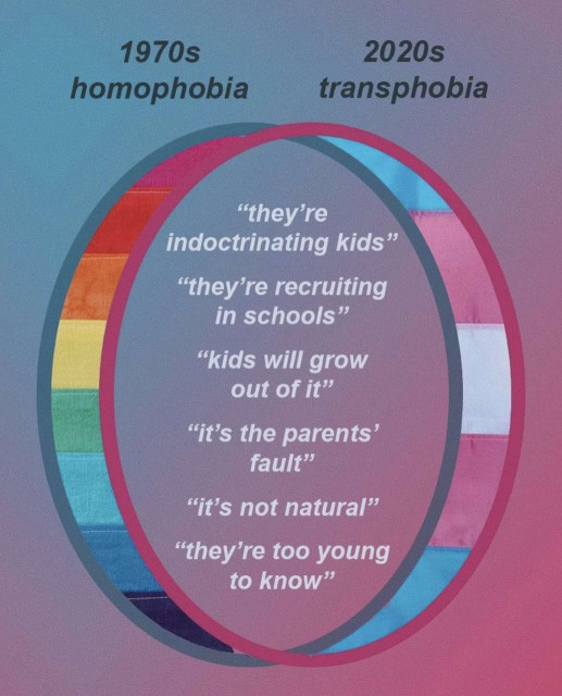 The text at the top reads 

1970s homophobia - 2020s transphobia

Below is a circle. On the left side is a gay pride flag design, on the right is the trans flag design.

In the middle is text that reads:

"Theyre indoctrination kids"
"Theyre recruiting in schools"
"Kids will grow out of it"
"It's the parents fault"
"It's not natural"
"Theyre too young to know"