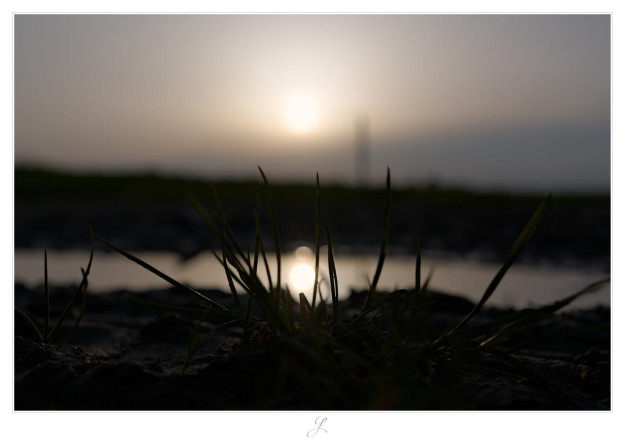 From a perspective just a centimeter above the ground there is an unsharp puddle in the nearer background with some grass stems in the foreground and the sun above. As the picture was taken against the sun, the grass can only be recognized as a black silhouette. The sun can be seen as a soft white spot in the blurred background. Soft widespread clouds cover the sky. The sun is reflected in the surface of the puddle, between two of the stems.

AI disclaimer: Using my work, its meta data, written or derived description to create media with or train AI based systems is prohibited.