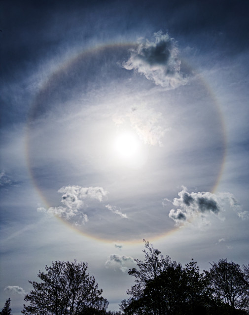 A circular ring around the Sun with a red and yellow coloured inner edge, due to the refraction of sunlight by high altitude ice crystals in cirrus clouds. The inner part of the ring is barker than the outside. There are some low clouds passing by cutting across the ring. There are some trees at the bottom.