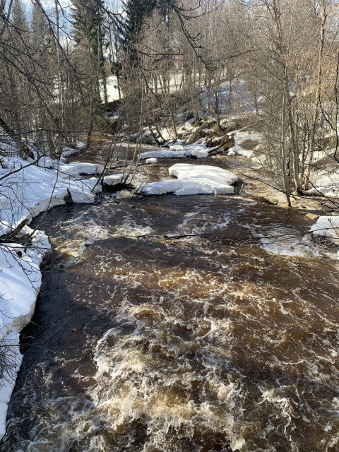 A spring river in the forest with snow covered river banks. 