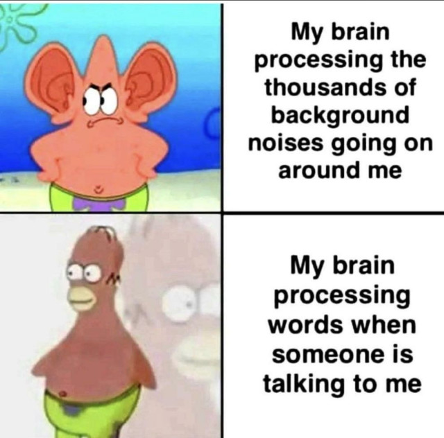 A two-panel meme comparing the brain's selective attention in a humorous way. In the top panel, an animated character with notably large ears is captioned, "My brain processing the thousands of background noises going on around me," suggesting an exaggerated ability to hear surrounding sounds.

The bottom panel features a different character with a blurry face and the caption, "My brain processing words when someone is talking to me," humorously implying a lack of focus or difficulty in understanding speech amidst distraction. The meme cleverly uses visual exaggeration to depict how sometimes one can be overly sensitive to environmental noise while simultaneously struggling to concentrate on direct communication.