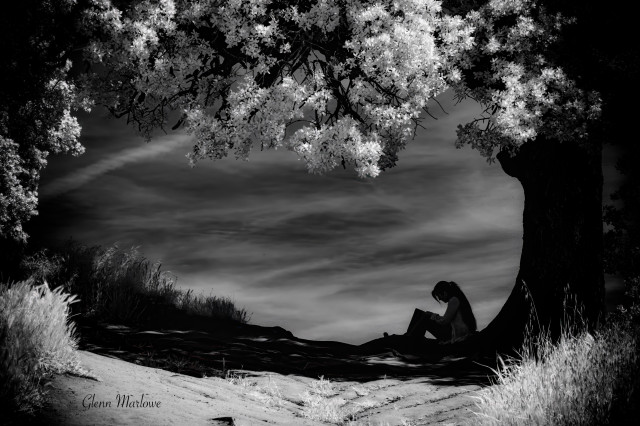 Black and white infrared image of a person in silhouette sitting under an oak tree reading a book with a dramatic sky in the background.
