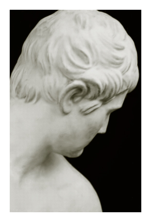 close up of a reproduction marble sculpture of a man's head and shoulder as they face away. the background is black. new orleans, 1987.