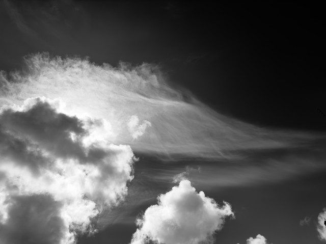 Monochrome picture of clouds. There is bright light behind one section, so they are in front of the Sun there. Different shapes and layers are seen, some puffy, and some drawn out horizontally looking like a brush stroke. The sky behind looks dark in this black and white picture.
There is a small puff of cloud in the center that resembles two rounded lobes at the top coming to a point at the bottom. It has a darker vertical line coming down from the top that makes it look like it’s splitting.