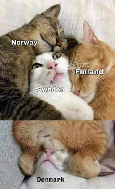 Two cats (Norway and Finland) are squeezed into a cat named Sweden. A poor cat named Denmark is lower and it's squeezed to cat's balls. 