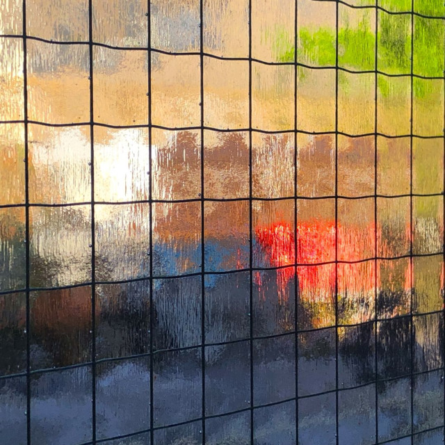 A colourful rooftop garden lit by the late day sun, as seen through protective glass.