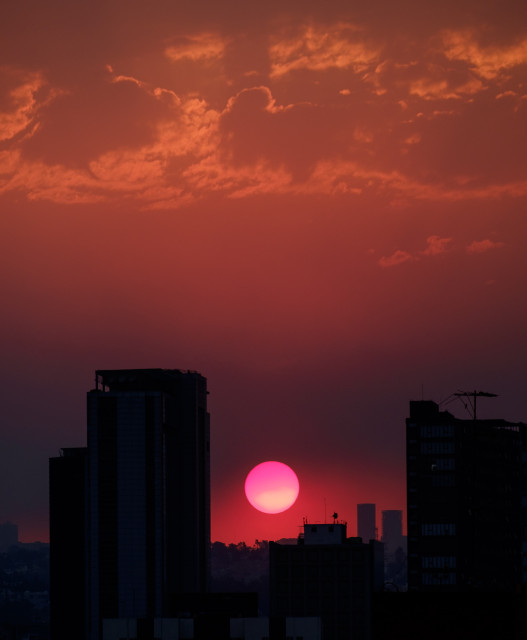 Photo of a sunset with the sun showing as a distinct red ball between tall buildings. 