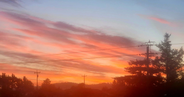 Red is reflected on the clouds at sunrise.  Power poles and lines and trees at the bottom.