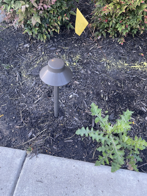 A picture of a path light stuck into the dirt next to a sidewalk. It's cute and little.