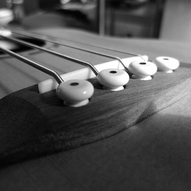 Eine Detailfoto in Schwarz-Weiss, auf der der Saitensteg einer akustischen Bassgitarre zu sehen ist